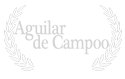 award_viaje_a_bangkok_press_awards_aguilar_de_campoo_festival_dilm